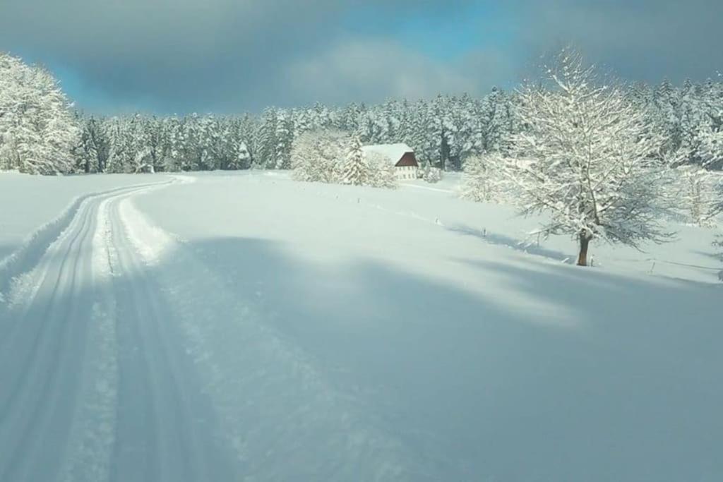 Ferienwohnung Im Schwarzwald Unterkirnach Eksteriør bilde